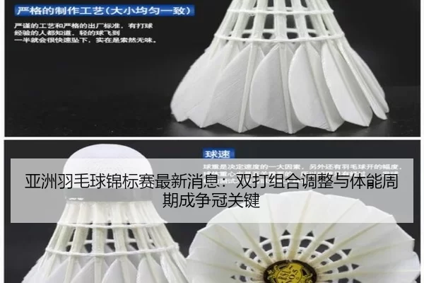ya-zhou-yu-mao-qiu-jin-biao-sai-zui-xin-xiao-xi-shuang-da-zu-he-tiao-zheng-yu-ti-neng-zhou-qi-cheng-zheng-guan-guan-jian-3-248.jpg